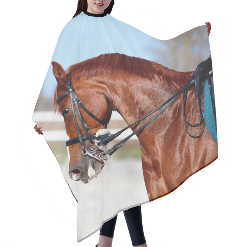 Personality  Portrait Of A Sports Red Horse. Hair Cutting Cape