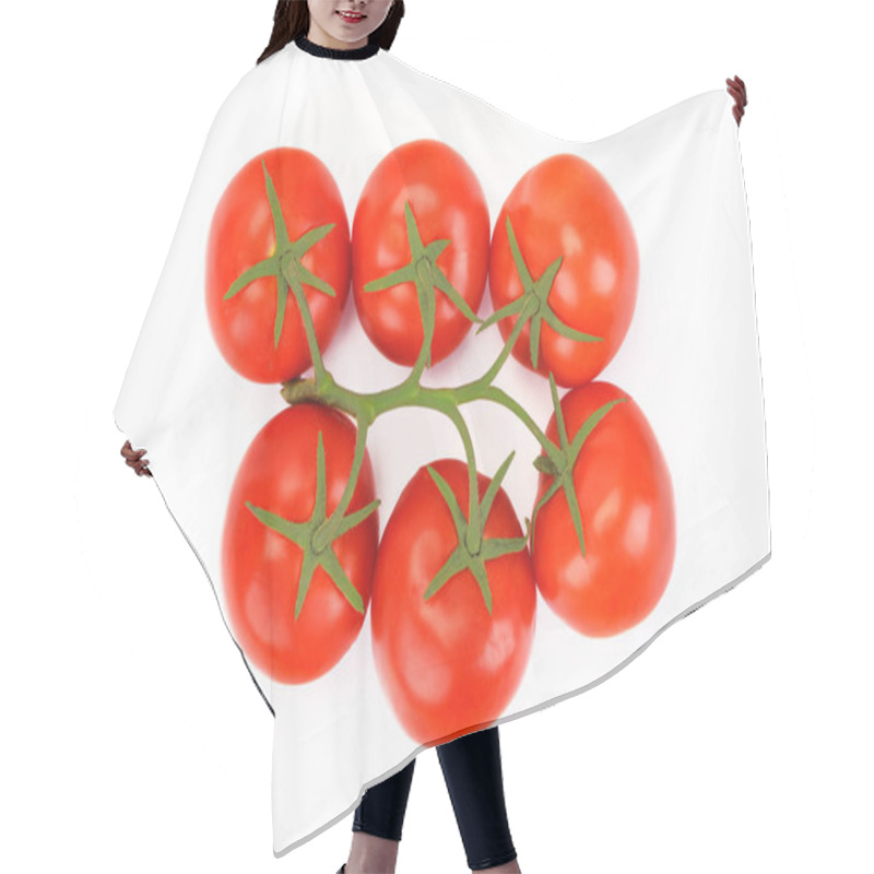 Personality  Fresh Tomatoes On Branch Hair Cutting Cape