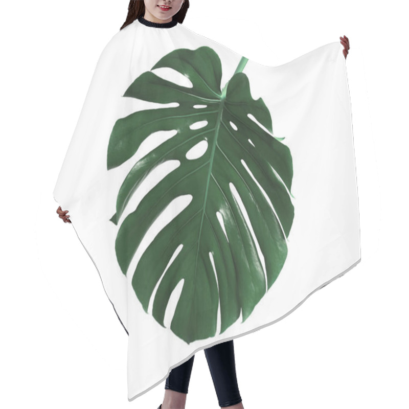 Personality  Beautiful Monstera Leaf On White Background. Tropical Plant Hair Cutting Cape