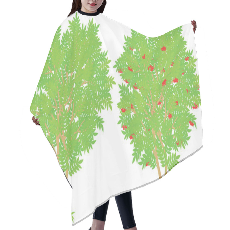 Personality  Rowan Tree Hair Cutting Cape