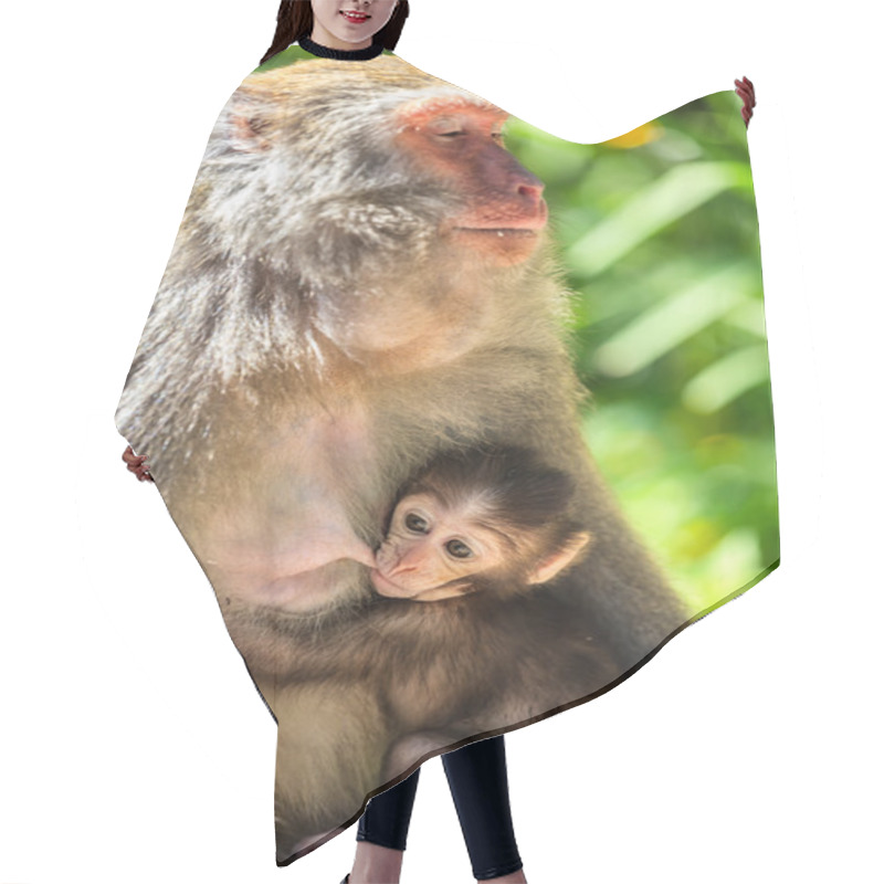 Personality  Monkey Mother And Baby In Natural Hair Cutting Cape