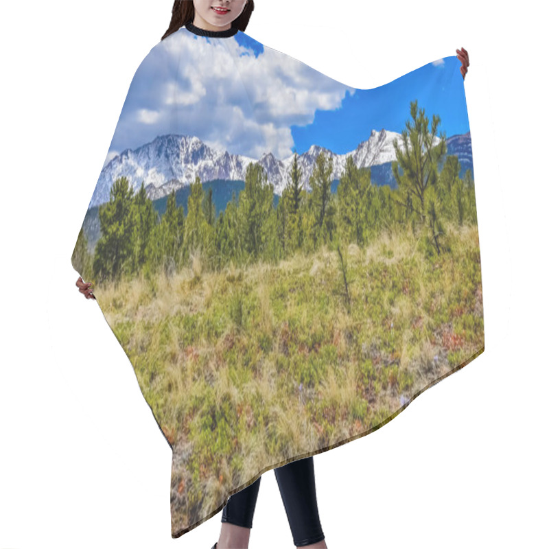 Personality  Mountain Vegetation On The Snow-covered Slope Of The Pikes Peak Mountains, Colorado, USA Hair Cutting Cape