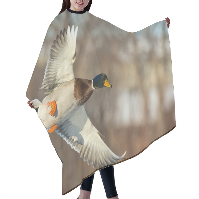 Personality  Flying Mallard Duck Hair Cutting Cape