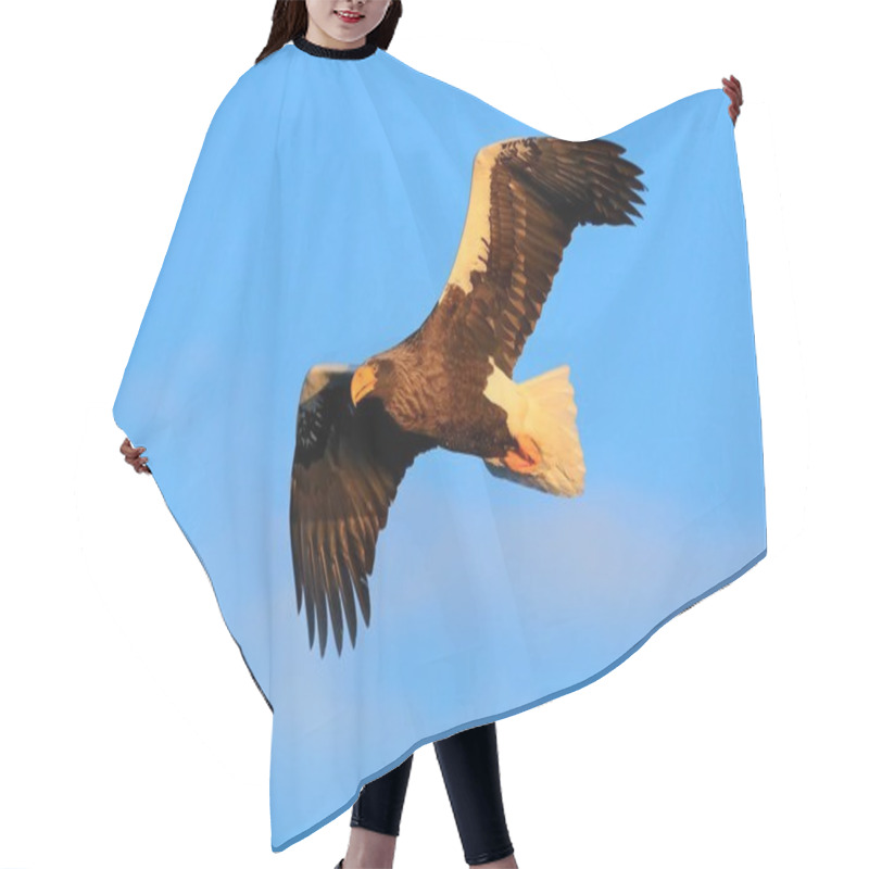 Personality  Eagle Flight During Winter Hair Cutting Cape