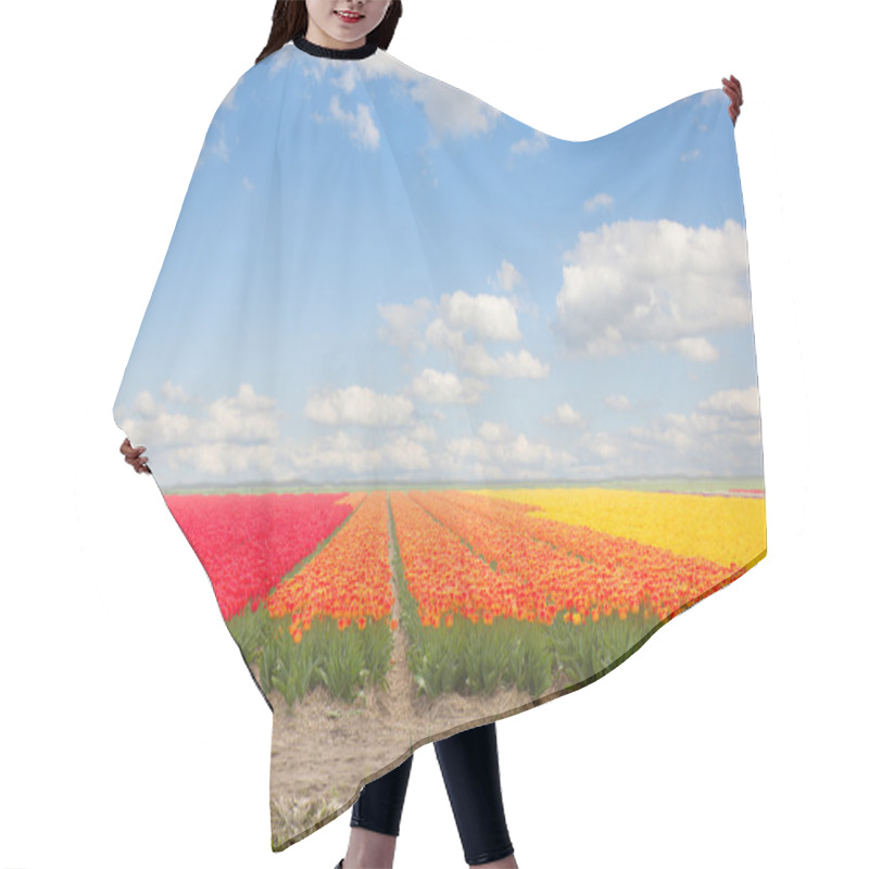 Personality  Dutch Yellow Tulip Fields In Sunny Day Hair Cutting Cape