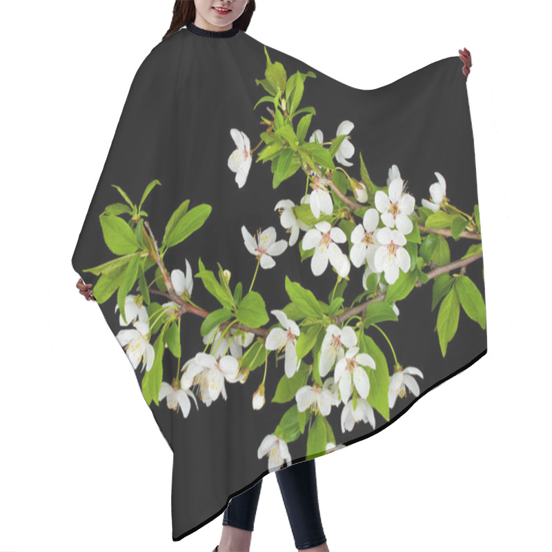 Personality  Blooming Branches Of Plum Tree Hair Cutting Cape