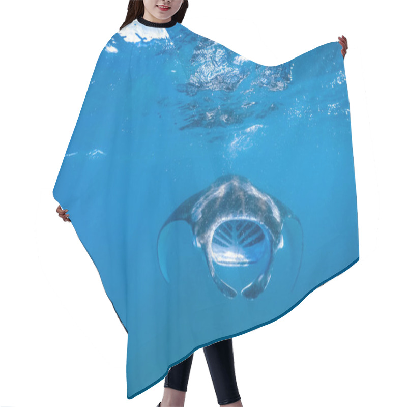 Personality  Bright Underwater Scene With Manta Ray In Sun Rays. Snorkeling And Diving In Tropical Sea, Underwater Sport And Recreational Background Hair Cutting Cape