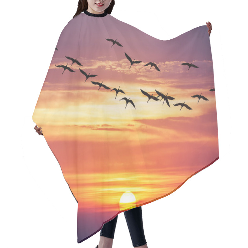 Personality  Crane Hair Cutting Cape