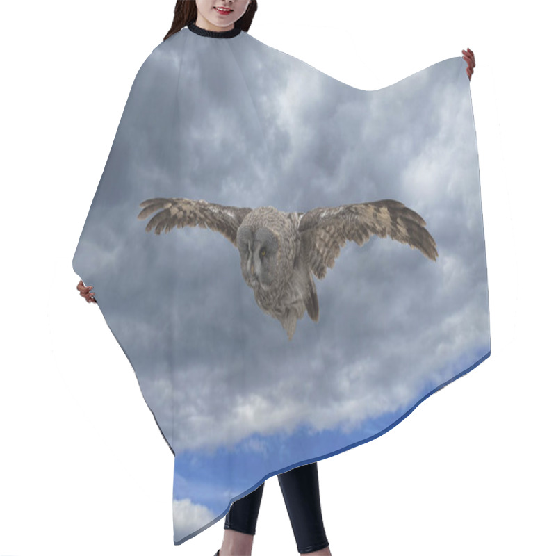 Personality  Owl Flies In Sky. Against Backdrop Of Gloomy Gray Skies. Front View From Below. Hair Cutting Cape