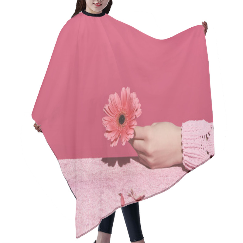 Personality  Cropped View Of Woman Holding Gerbera With Petals On Velour Cloth Isolated On Pink, Girlish Concept  Hair Cutting Cape