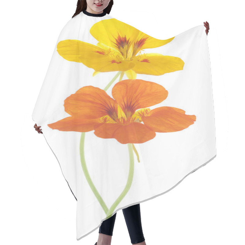 Personality  Nasturtium Hair Cutting Cape