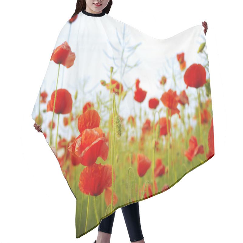 Personality  Red Poppies Hair Cutting Cape