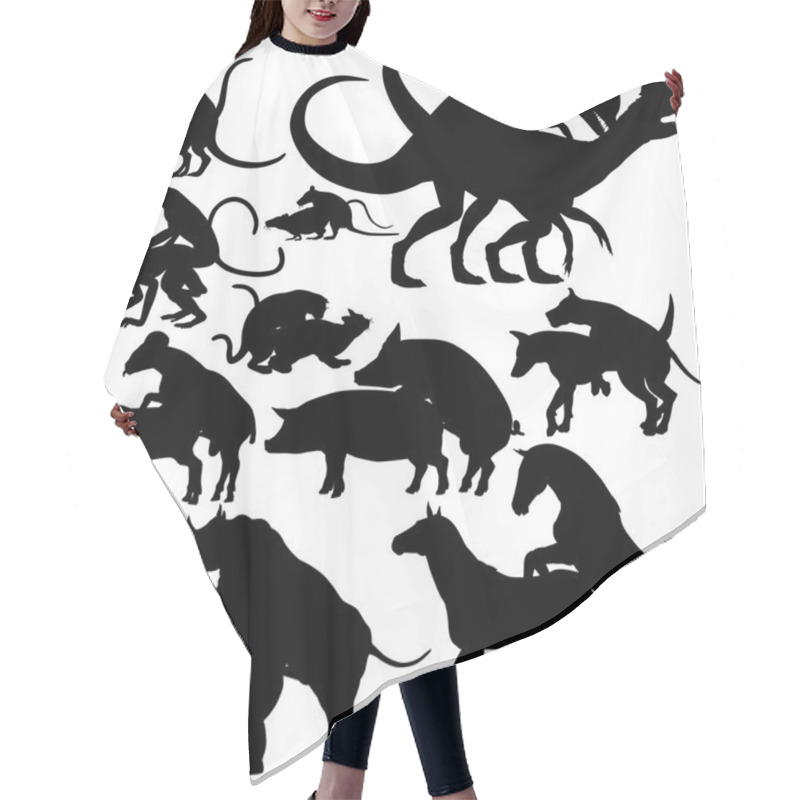 Personality  Animals Mating Hair Cutting Cape