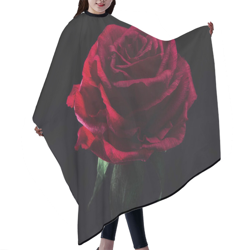 Personality  Large Flowers Made Of Foamiran And Paper On A Dark Background, Hand-made Rosebuds And Peonies, Homemade Compositions And Fire Flowers For Decoration And Design Hair Cutting Cape