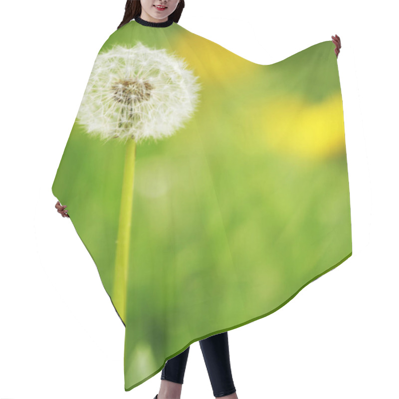 Personality  Dandelion Close Up Hair Cutting Cape