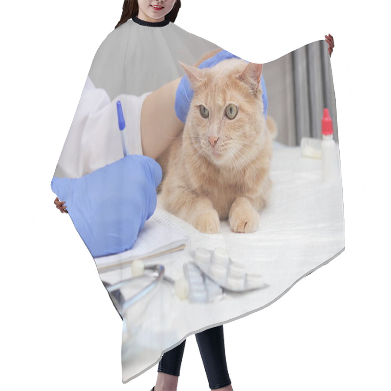 Personality  At The Vet's. A Red Cat Is Being Examined By A Veterinarian. Prescribing Treatment For Pets. Hair Cutting Cape