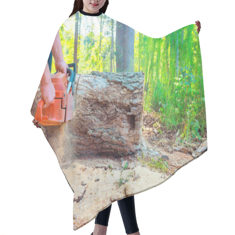 Personality  Lumberer Uses Chainsaw To Cut Through Large Fallen Log In Sunny Forest, With Wood Shavings Flying. Hair Cutting Cape