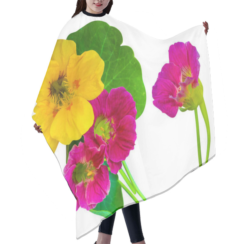 Personality  Nasturtium. Nasturtium Flowers. Nasturtium Flowers Isolated On W Hair Cutting Cape