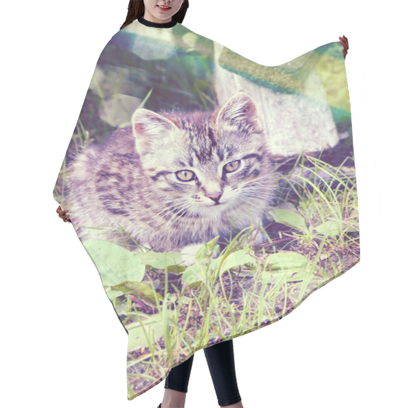 Personality  Retro Portrait Cat Hair Cutting Cape