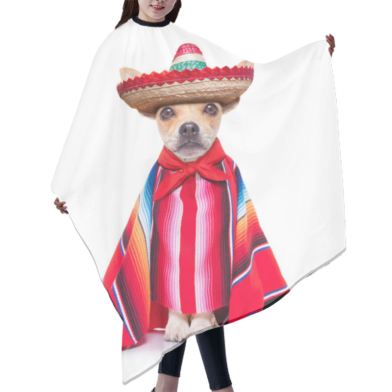 Personality  Maxican Chihuahua Hair Cutting Cape