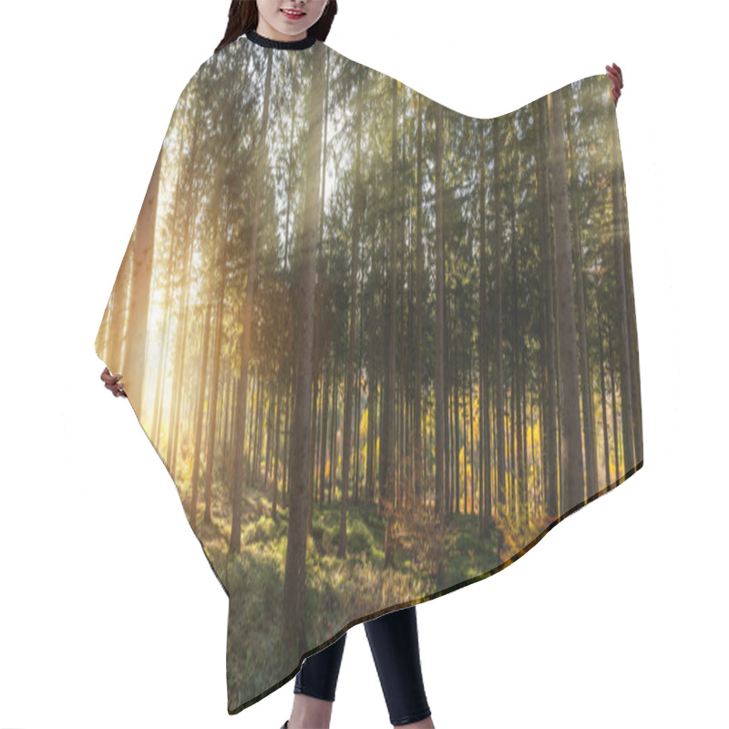 Personality  Silent Forest In Spring With Beautiful Bright Sun Rays Hair Cutting Cape