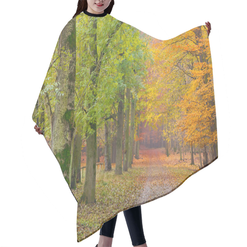 Personality  In Autumn Park Hair Cutting Cape