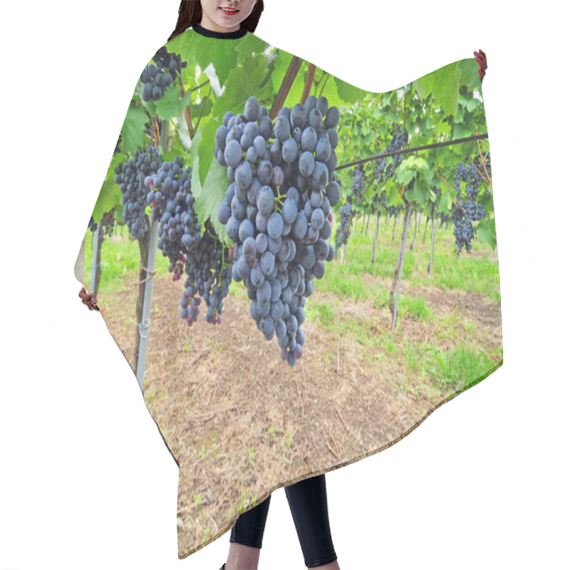 Personality  Red Grapes Hair Cutting Cape