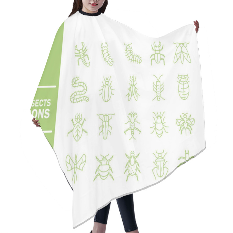 Personality  Insect Icon Set Over White Background, Line Detail Style Hair Cutting Cape