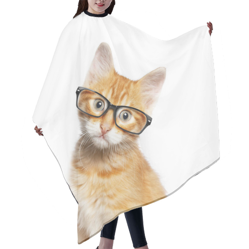 Personality  Red Cat In Glasses Hair Cutting Cape