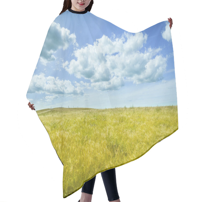 Personality  Beautiful Prairie Landscape With Blue Sky And Clouds Hair Cutting Cape