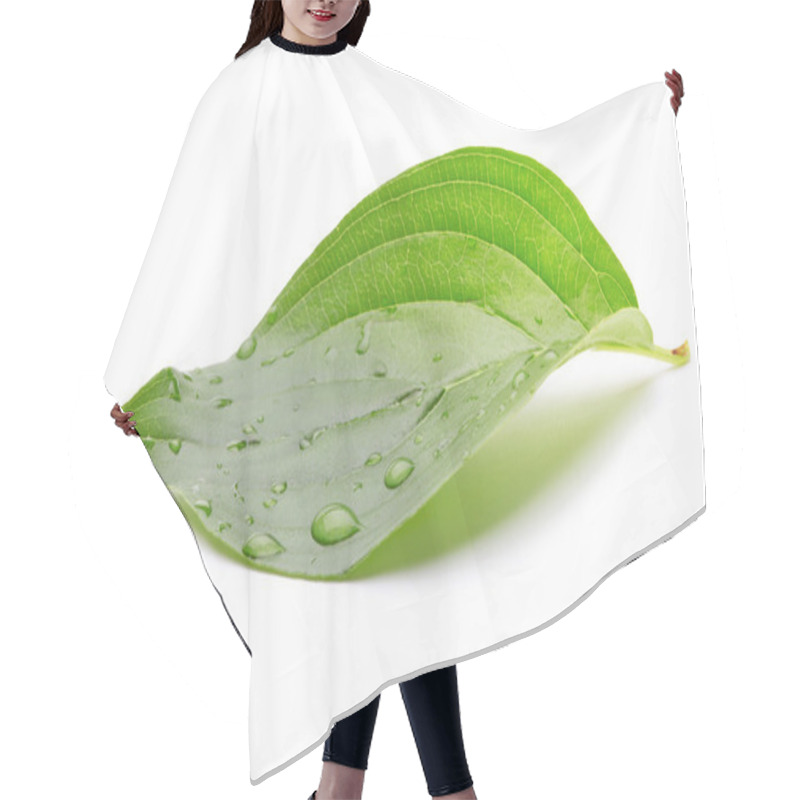 Personality  Green Leaf With Water Drops Hair Cutting Cape