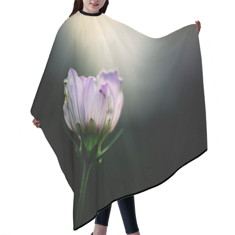 Personality  Wild Flower Close Up  Hair Cutting Cape