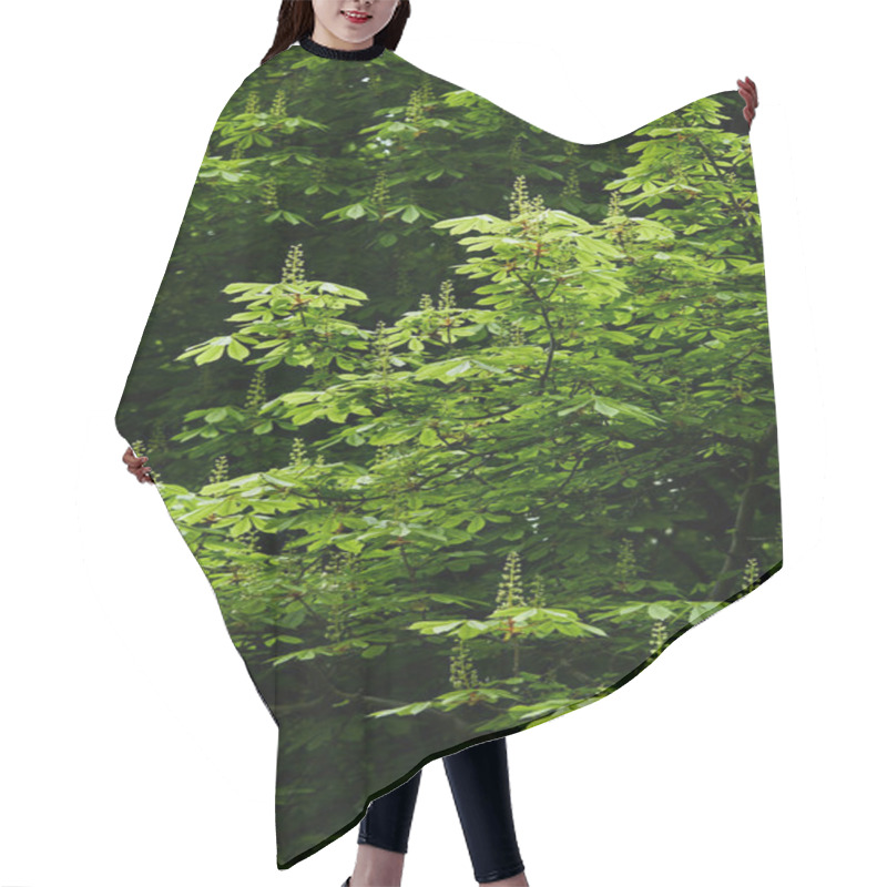 Personality  Beautiful Blossoming Green Chestnut Tree Hair Cutting Cape