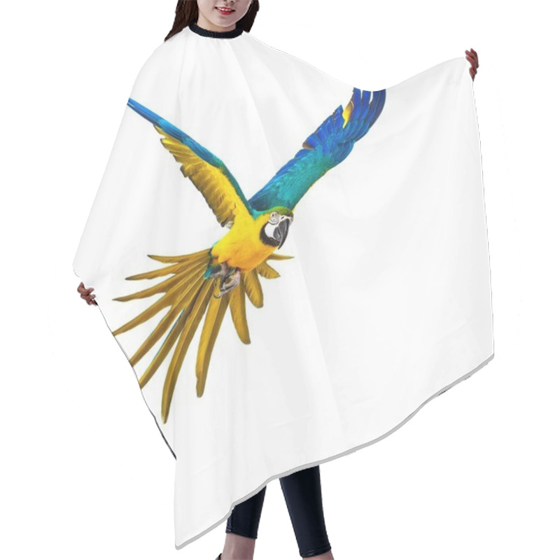 Personality  Colourful Flying Parrot Isolated On White  Hair Cutting Cape