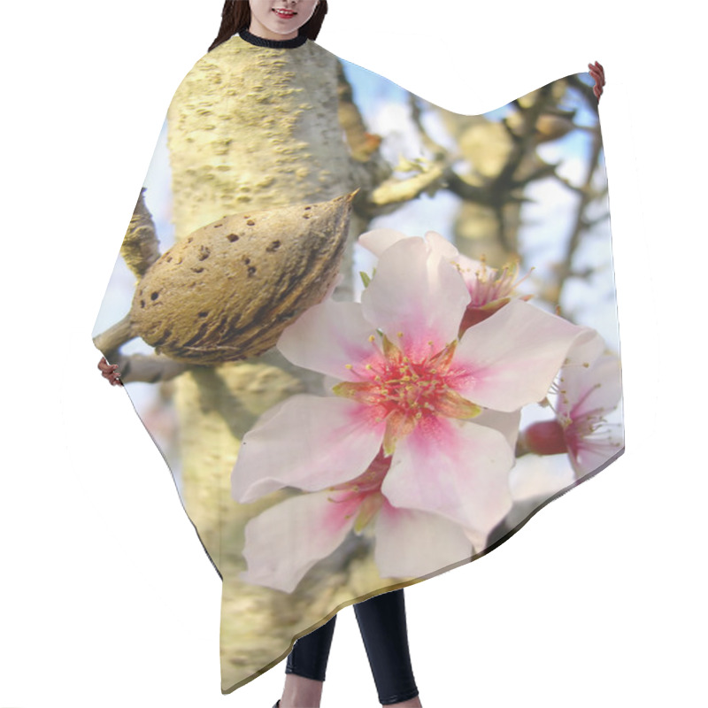 Personality  Almonds On The Tree Hair Cutting Cape