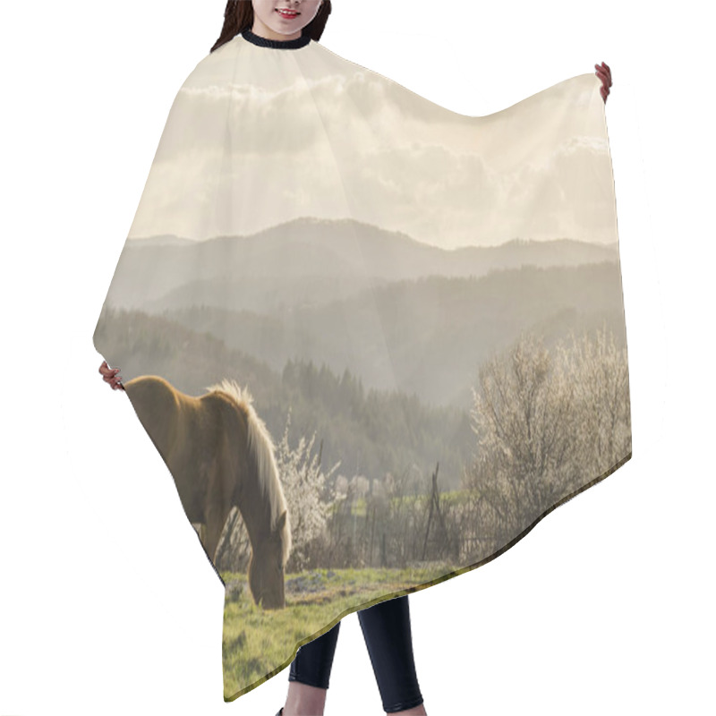 Personality  Beautiful Springtime Image Hair Cutting Cape