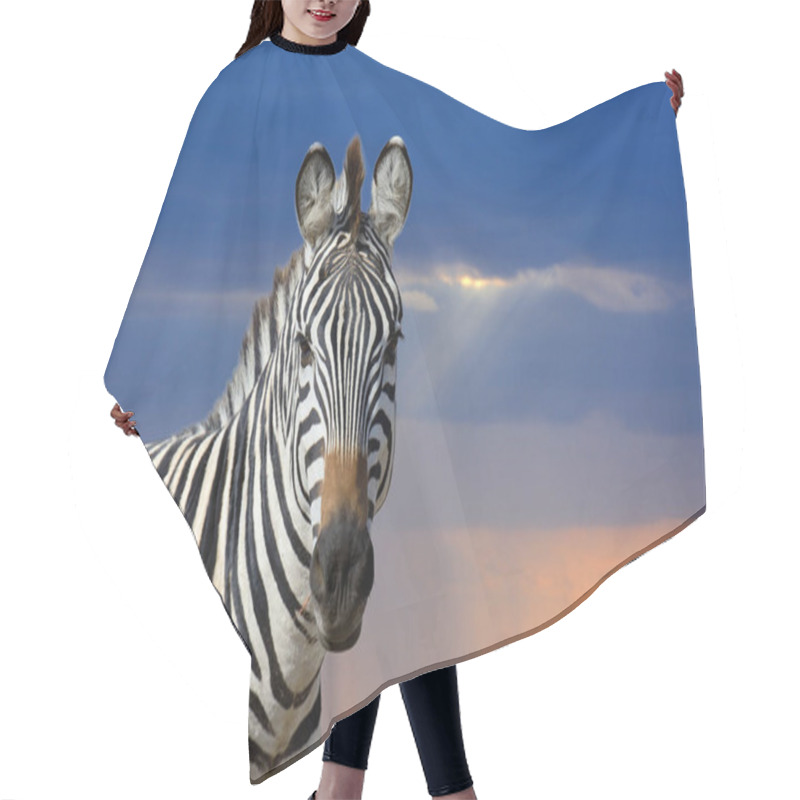 Personality  Zebra On Grassland In Africa Hair Cutting Cape