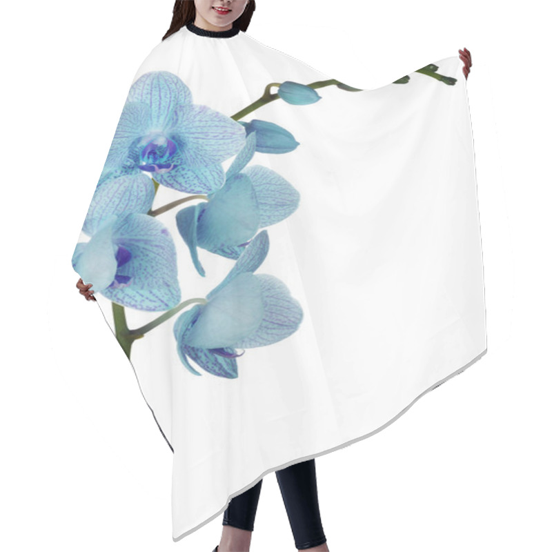 Personality  Blue Orchids Flowers On White Hair Cutting Cape