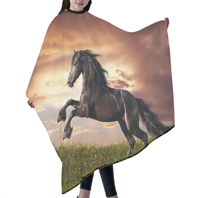 Personality  Black Friesian Horse Gallop Hair Cutting Cape