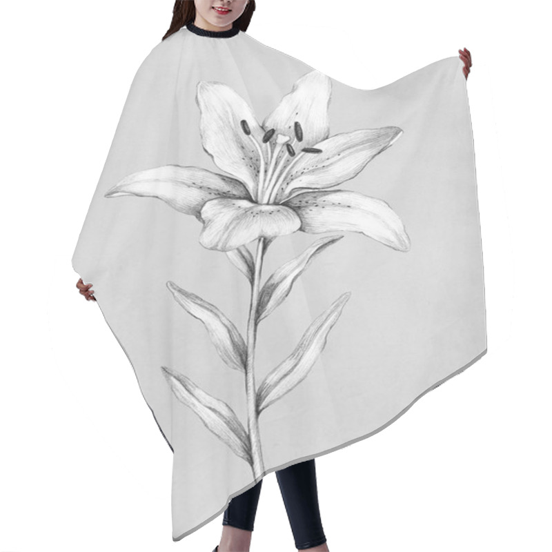 Personality  Pencil Drawing Of Lily Flower Hair Cutting Cape