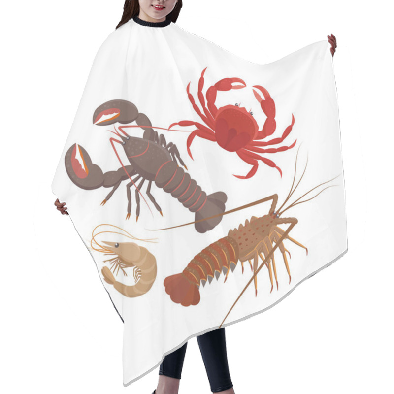 Personality  Crustaceans Set Of Vector Illustrations In Flat Design Isolated On White Background. Lobster, Spiny Lobster, Srimp, Rab. Hair Cutting Cape