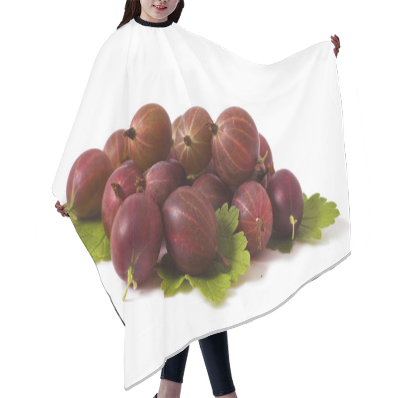 Personality  Gooseberries Hair Cutting Cape