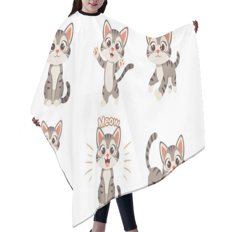 Personality  Collection Of Cute Gray Tabby Cats In Diverse Poses And Expressions Hair Cutting Cape