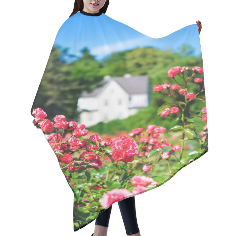 Personality  Pink Rose Bush On A House Background Hair Cutting Cape