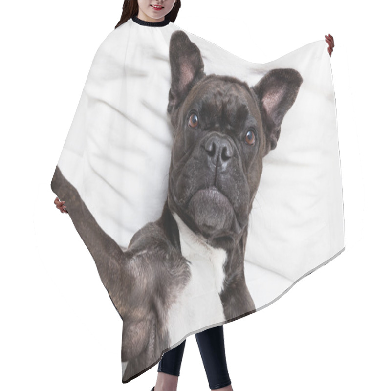 Personality  Dog Selfie In Bed Hair Cutting Cape