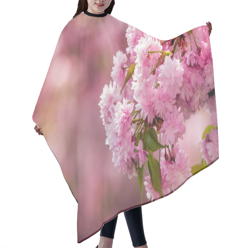 Personality  Pink Flowers Of Sakura Branches Above Grass Hair Cutting Cape