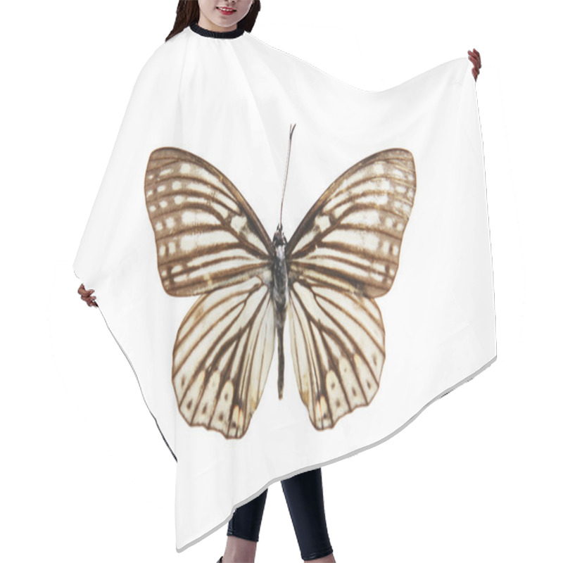 Personality  Butterfly Hair Cutting Cape