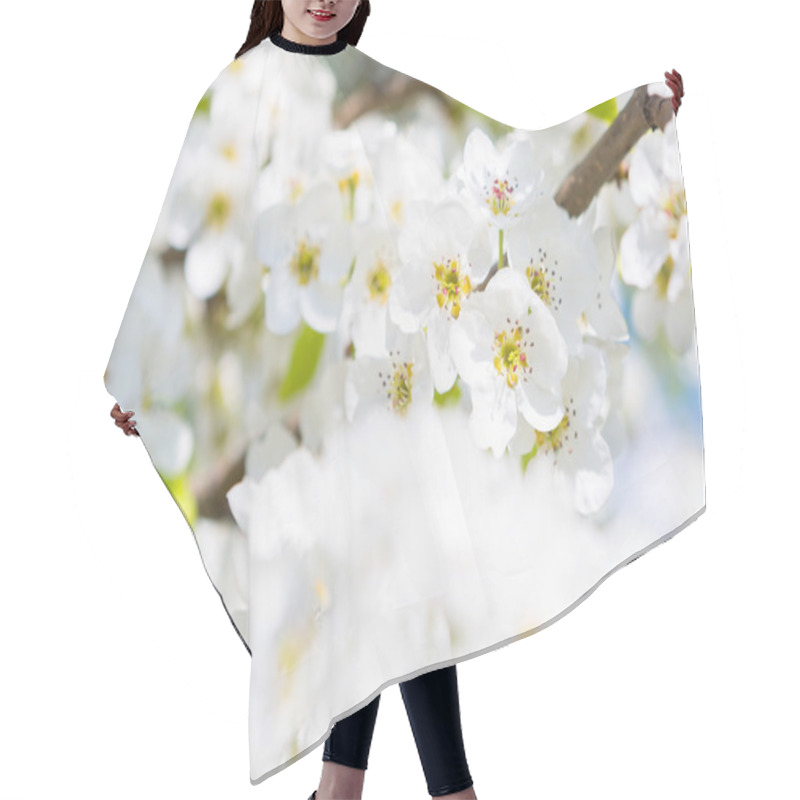 Personality  Beautiful Closeup Spring Blossoming Tree Hair Cutting Cape