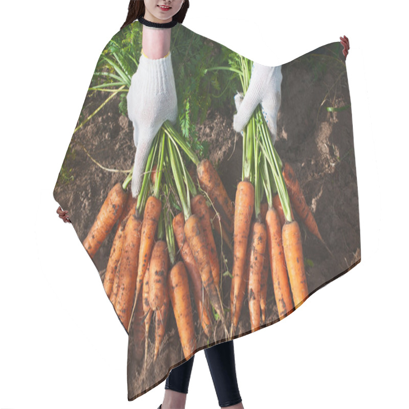 Personality  Harvesting Carrots Hair Cutting Cape