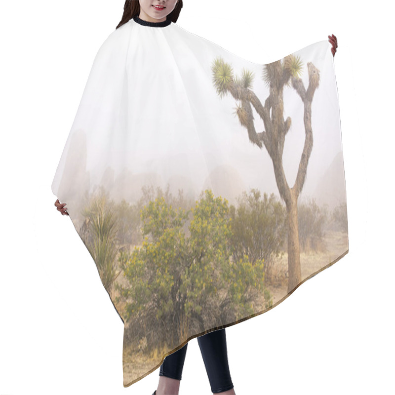 Personality  Foggy Spring Day At Joshua Tree National Park Hair Cutting Cape